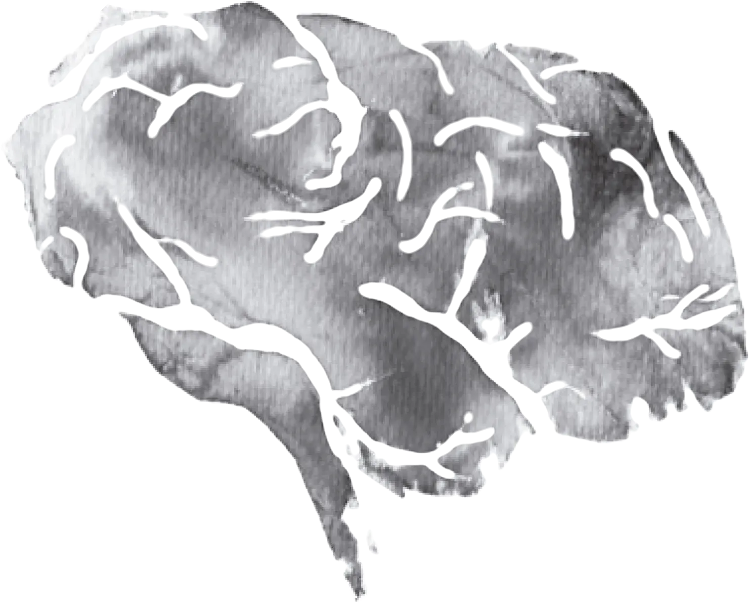 Logo do Dr. Luís Braga